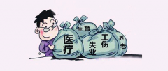 想問(wèn)下泓灼會(huì)計(jì)有社保嗎？